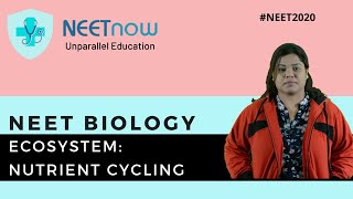 NEET Biology Ecosystem Nutrient Cycling