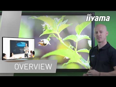 large touch display 