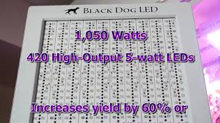 Black Dog LED Grow Lights - MJGreenHydroponics PhytoMax-2 Video 2018