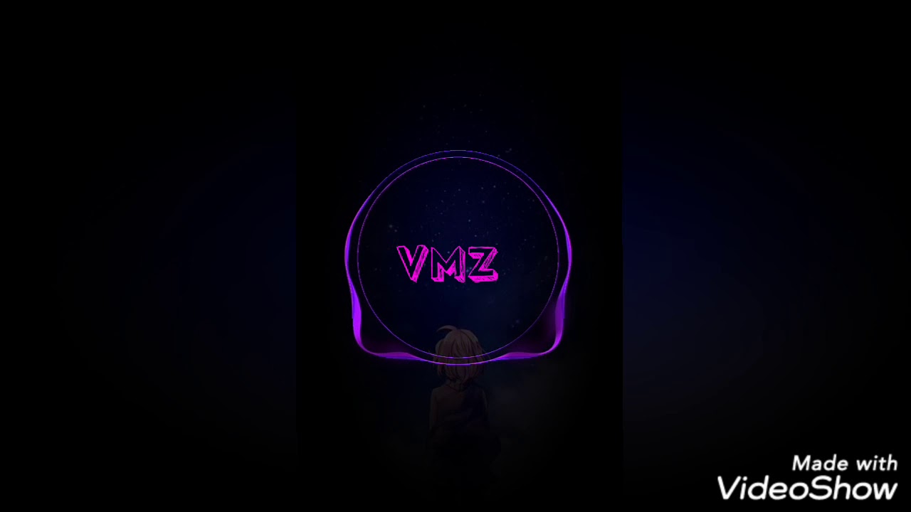 VmZ-sem vibe