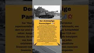 Sturer Emil: Der extrem seltene Panzerjäger der Wehrmacht