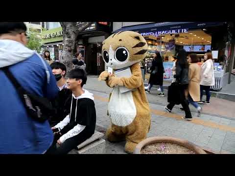 JHKTV] shinchon special mask <strong>cat</strong> <strong>have</strong> fun together 신촌 명물마스크 고양이 함께 즐겁게