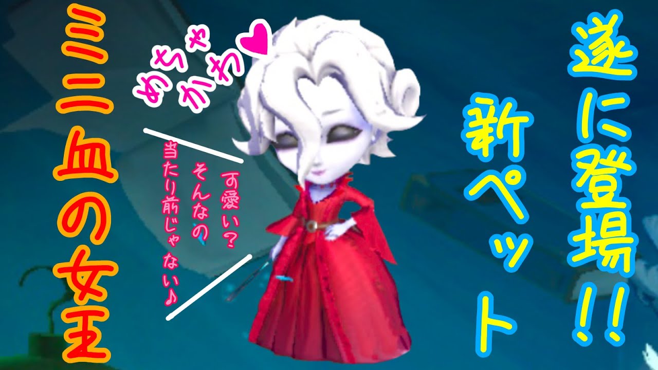 第五人格】新ペットついに登場!?可愛すぎるミニマリーにメロメロ【2人