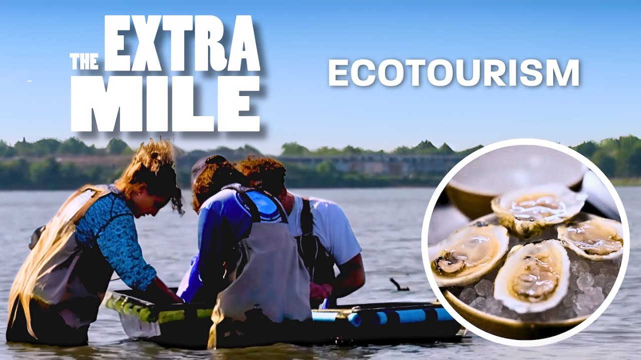 How 2.5 Million Pounds of Oyster Shells Are Restoring the NY Harbor | The Extra Mile