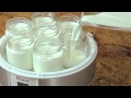 How to use the eurocuisine automatic yogurt maker  williamssonoma