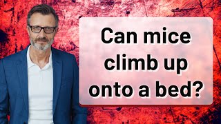 Celebrity Can mice climb up onto a bed? Wealth