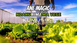 Ane Magic _ Ndakurimama Veg ( official music video )