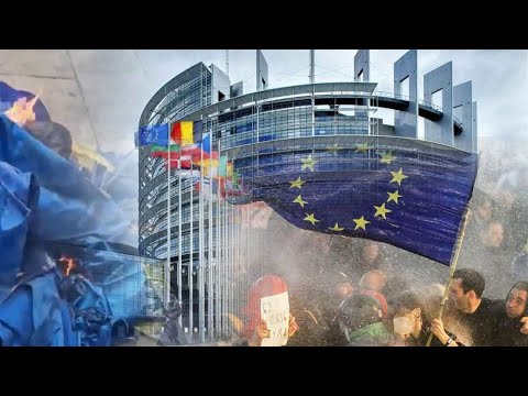 სტრატეგიული პარტნიორების პასუხი რადიკალებს