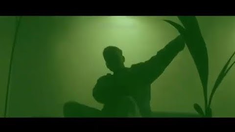 ♪ PALION - ZIELONE 4 ♪ [TRAILER]
