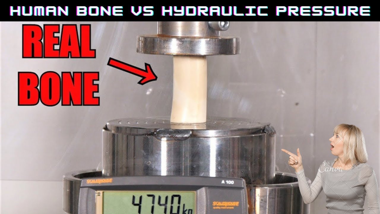 Human bone vs Hydraulic pressure | How Strong is Human Bone? 