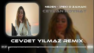 Ceylan Koynat - Neden ( Peki O Zaman ) ( Cevdet Yılmaz Remix ) Resimi