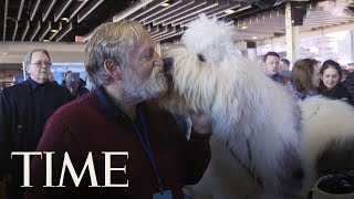 A Look At Some Of The Top Breeds At The 2019 Westminster Kennel Club Dog Show | TIME