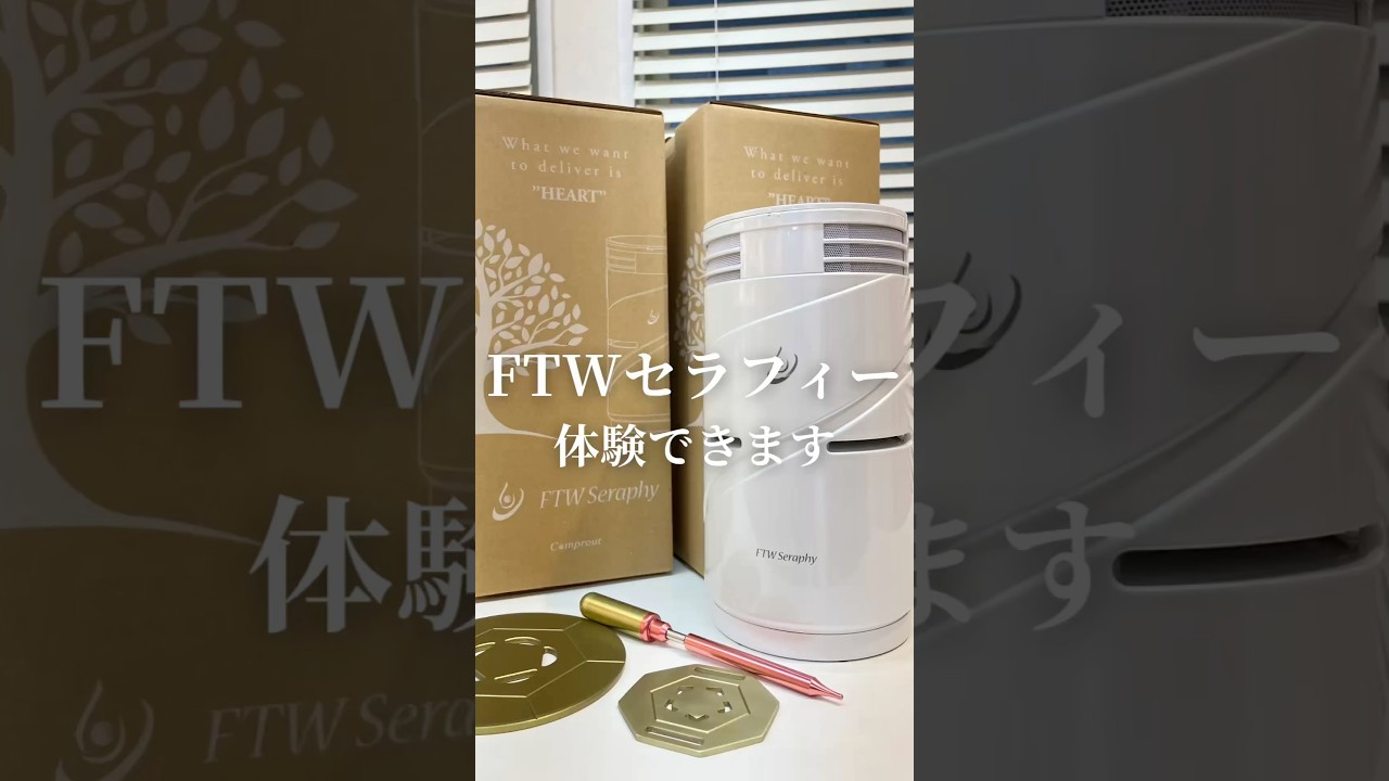FTWセラフィー体験できる！#FTWプレート #FTWセラミックス #FTW