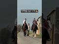 ਕੁੜੀ ਦੀ ਗੱਲ ਸੁਣ ਕੇ ਜਾਇਓ  #horse #viral #punjabi #trendinghashtags #animals