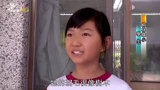 媒體報導1060428公視南部開講桐林國小完整版