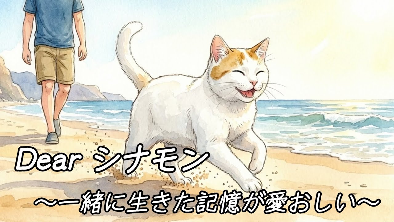【MV】Dearシナモン~一緒に生きた記憶が愛おしい~
