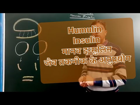 Humulin (Human Insulin) इन्सुलिन का उत्पादन (जैव तकनीक के अनुप्रयोग)