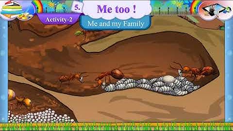 Std 7 English | Sem 2 | Unit 5 | Me Too