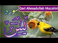Surah yasin yaseen  full with arabic     beautiful recitation qari ahmadullah mazahiri