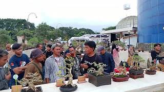 Keseruan Pamlok Garut.