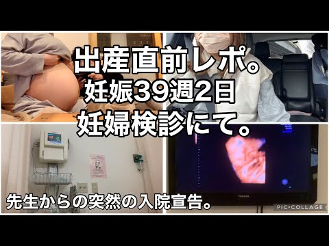 【たぬきですが。】妊娠39週と2日の妊婦検診。臨月、出産直前レポ。