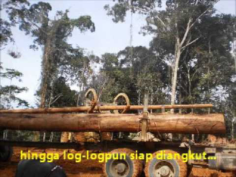 Hutan Terakhir Part 1 of 3 Doovi Hutan Terakhir Part 1 of 3 Doovi