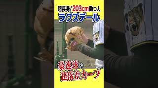 【身長203cm】新外国人ラグズデール！150キロ連発＆緩急自在で打者翻弄！#shorts #虎バンチャンネル #阪神タイガース#hanshintigers