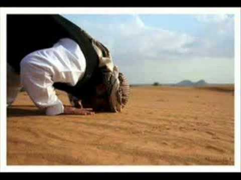 تفكرت يوما بمعنى الصديق أنشودة رائعة