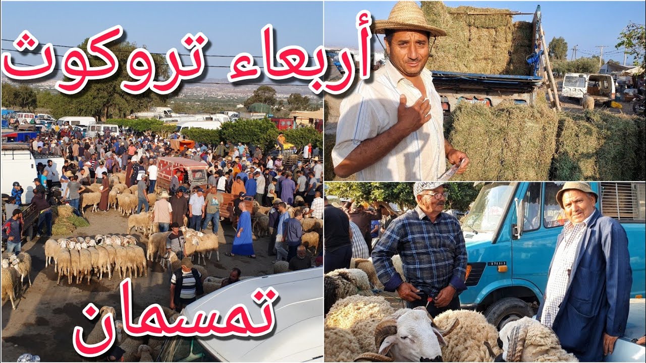 السوق الأسبوعي أربعاء تروكوت_تمسمان_إقليم دريوش