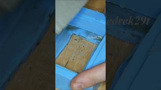 Dolphin In The Pool Book