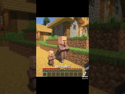 enderman kidnaps villager's