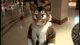 Confuzzled 2014 (AR Edit) #2