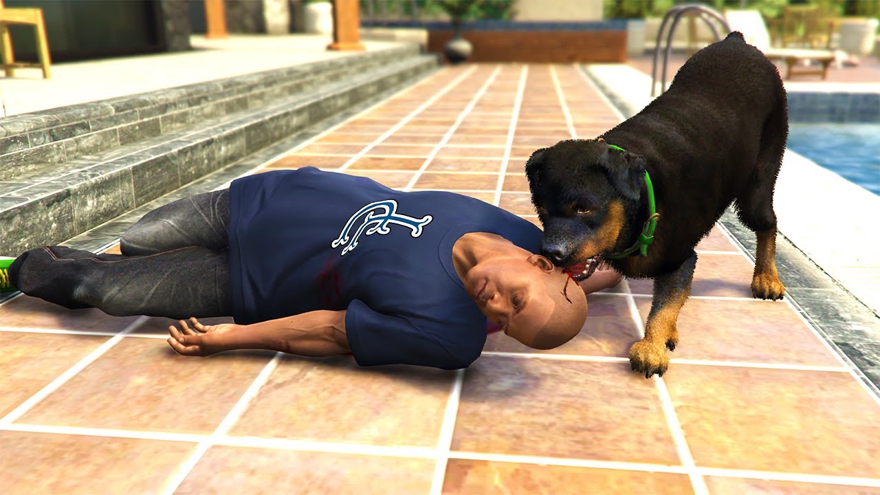 Chop Kills Franklin - GTA 5