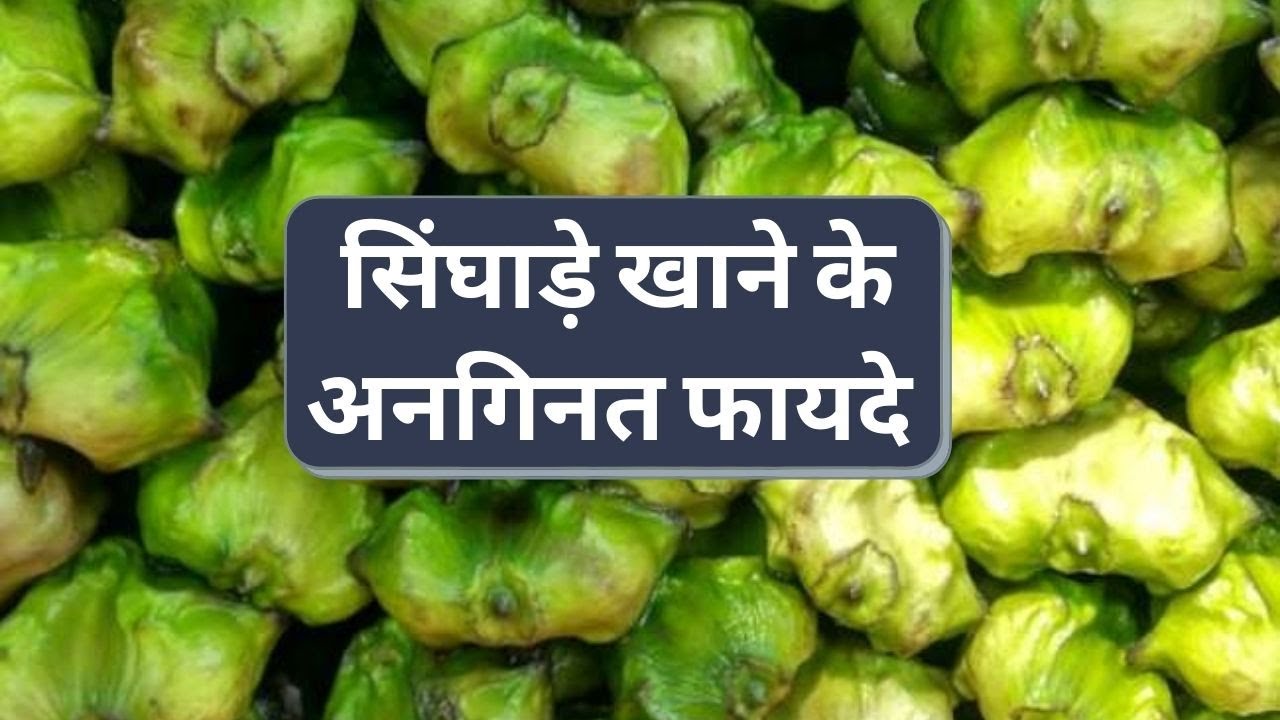 Weight Loss से Diabetes सब में फायदेमंद सिंघाड़े, Singhade Health