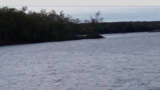 Celebrity Flash Tutorial 18A Mouse Wheel Zoom Limitations Wealth