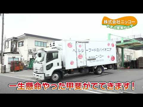 株式会社ニッコー