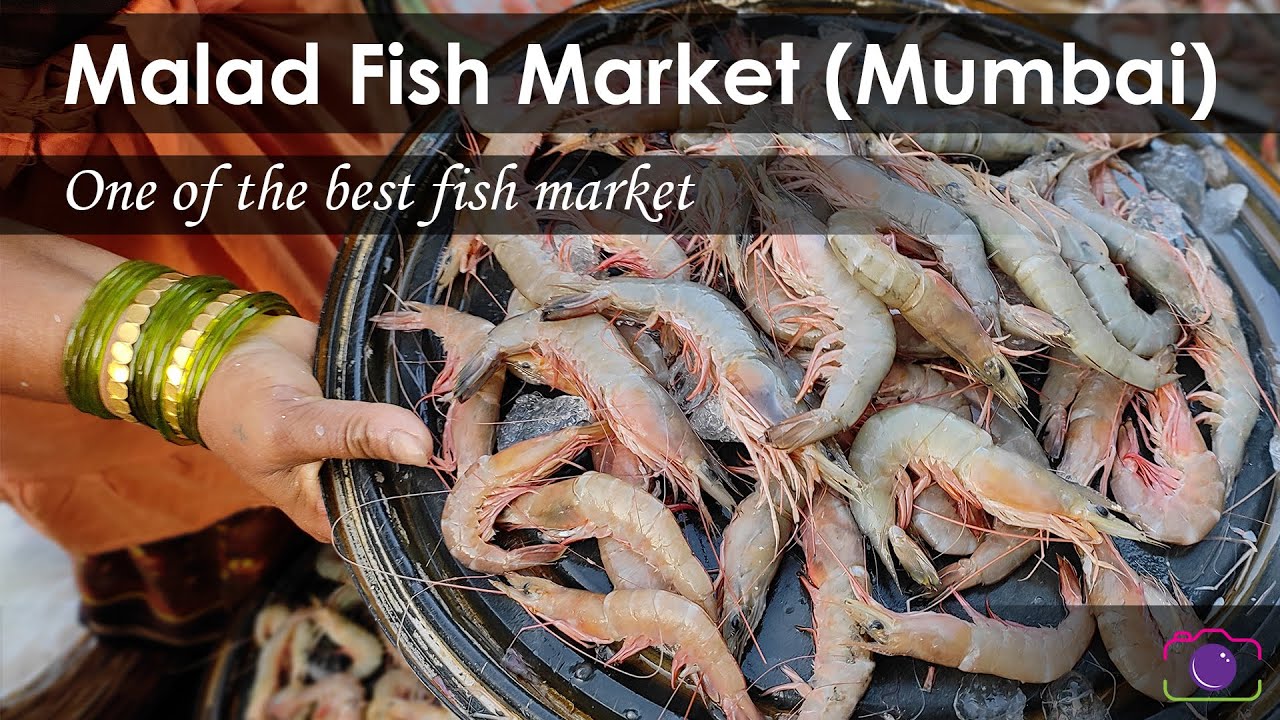 Malad Fish Market One of the Biggest Fish Market in Mumbai YouTube