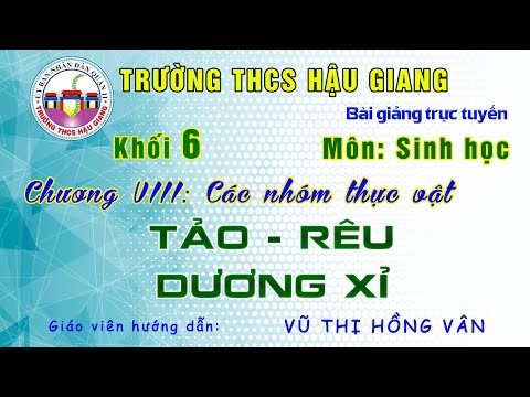 Sinh học 6 - Chương VIII: Các nhóm thực vật: Tảo, Rêu, Dương xỉ - Giáo viên: Vũ Thị Hồng Vân