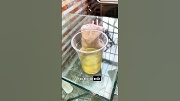 Túi lọc Yee Magical khử nước vàng tanh cực nhanh cho hồ cá#KingbioVN #HatLocYee #HoCaCanh #BeCaTrong