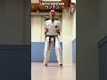 Uechi Sanchin サンチン | Real Power in Karate