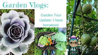 Garden Vlogs: Garden tour Update I Have Tomatoes!!