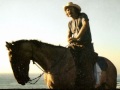 ray dorn "coyote song"  original