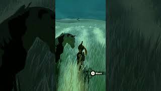 A Different Way to Tame a Horse in TotK - Zelda Totk #Shorts