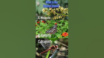 Trivia Challenge: How many can you get right? 7 #shorts #trivia