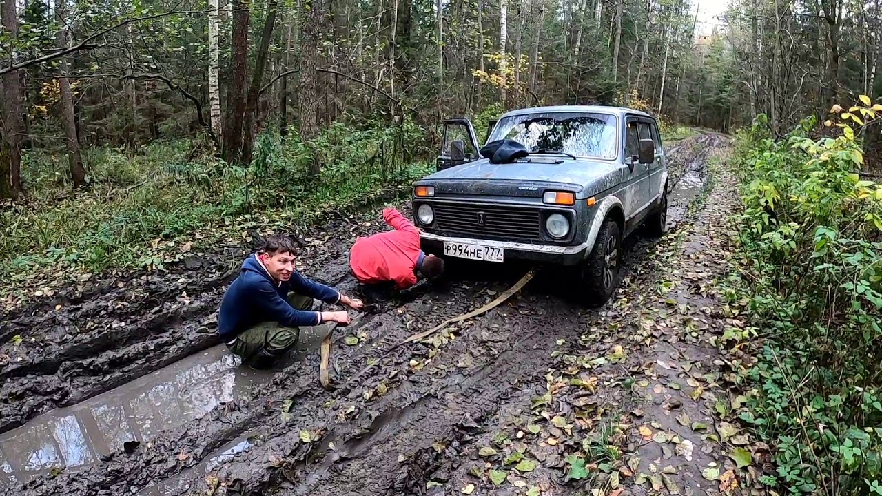 Поездки на ниве