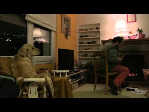 Vídeo: Com Mantenir Un Gos Calent En Temps D’hivern