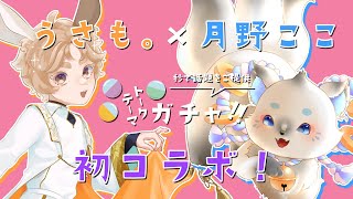 【雑談コラボ】仲良し1匹と1人でわちゃわちゃトークテーマガチャ❣ 【月野ここ×うさも。】
