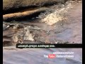 Ezhattumugham travel Asianet News Travelogue