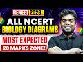 🚀 RE-NEET 2026 Biology NCERT Diagrams | 20+ Marks Guaranteed Topics 🎯
