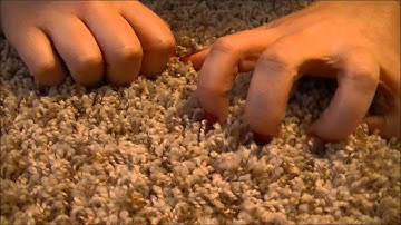 ASMR Two Minute Tingles Scratching Carpet